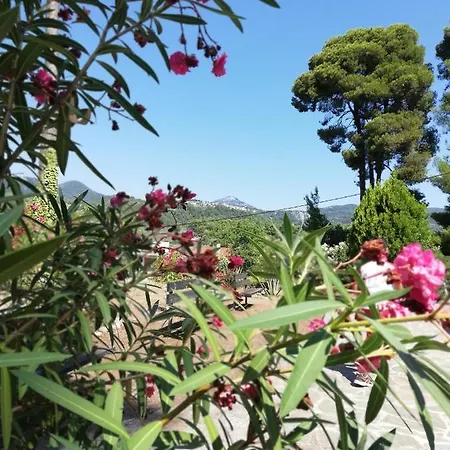 North Evia Kiki's House * Kourkouli